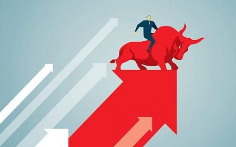 中国国际期货公司基金